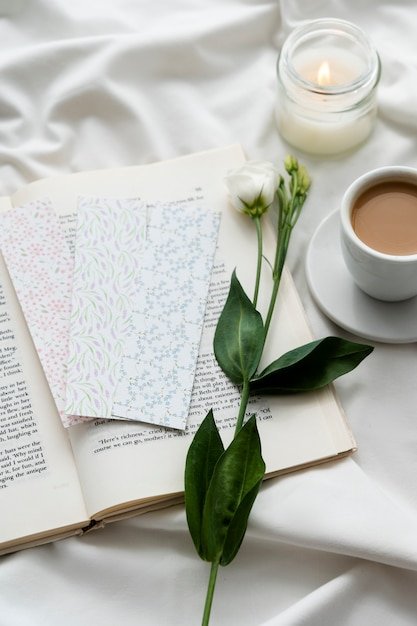 The 'Teacher's Voice' Development Journal