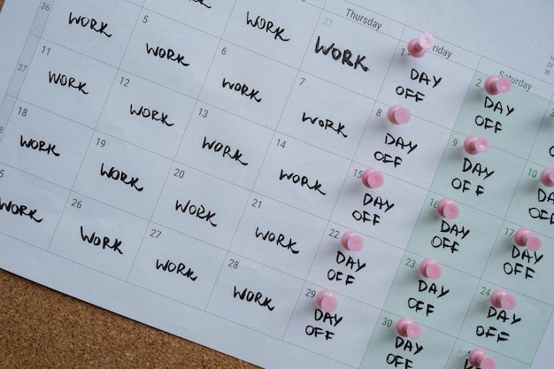 Mindful Movement & Gratitude: Planners & Audio Bundle